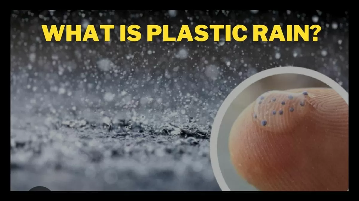 Scientists estimated that 74 metric tonnes of microplastics collapse from the sky into the city of Auckland, New Zealand every year