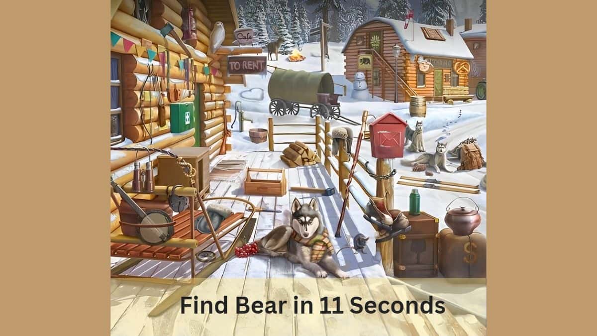 Find Bear in 11 Seconds