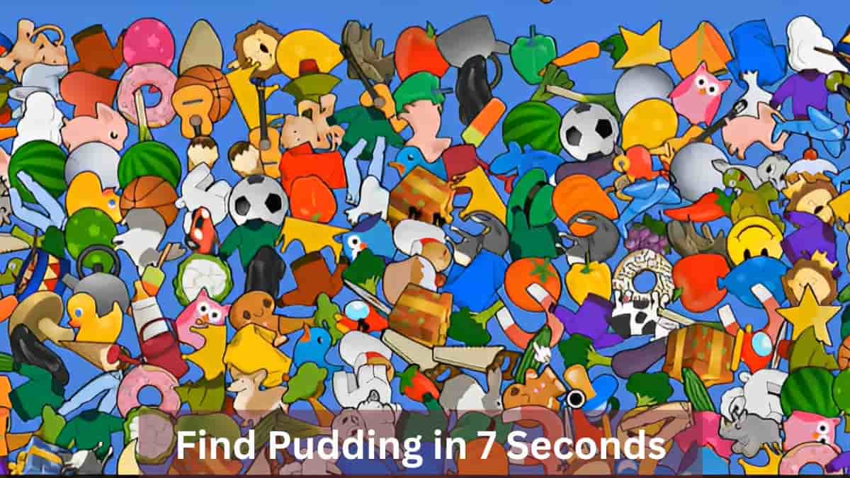 Find Pudding in 7 Seconds
