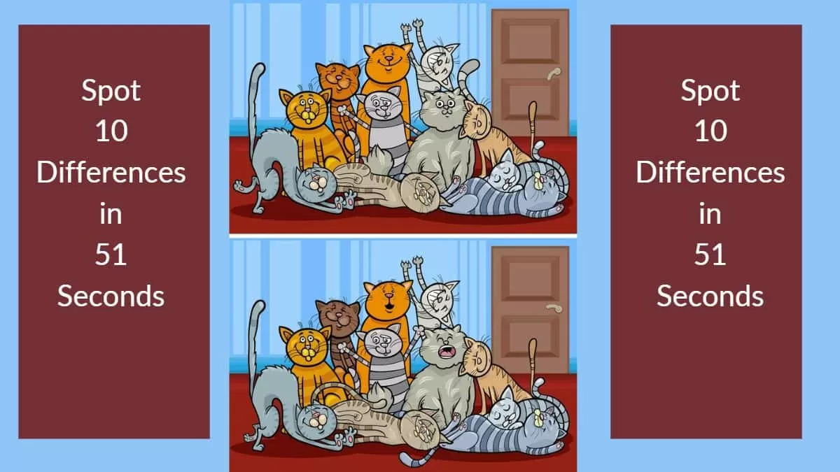 Spot The Difference: Can you spot 10 differences in 51 seconds?