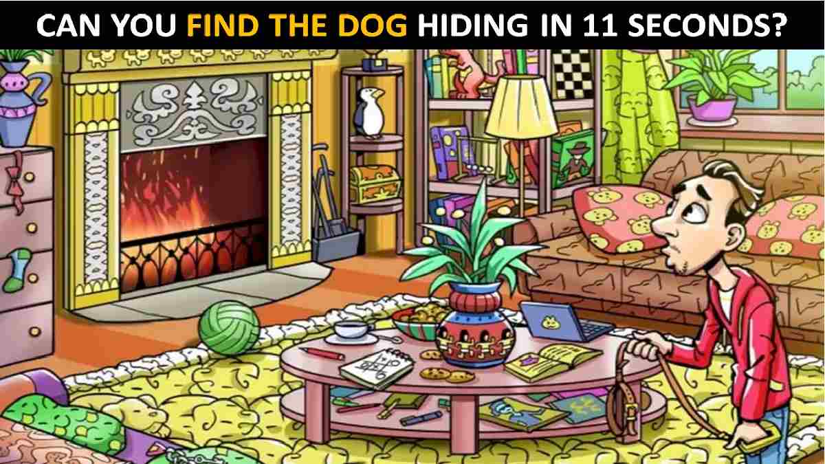 Picture Puzzle: Discover Your Genius Level, Find The Dog In 11 seconds