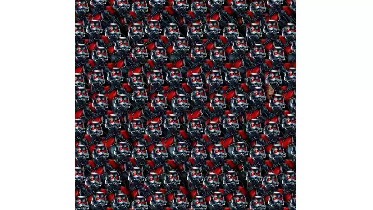 Can you find image of Thor in the Antman Card?
