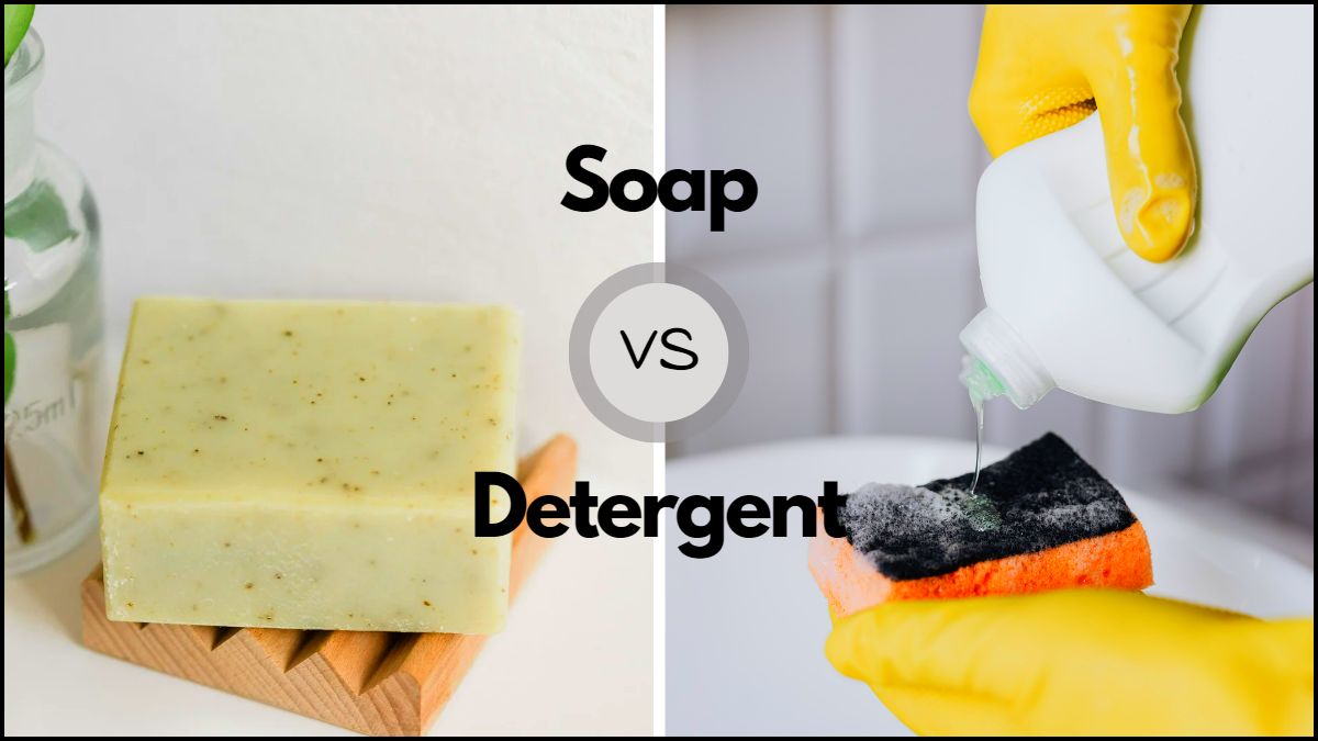 What Is The Difference Between Soap And Detergent?