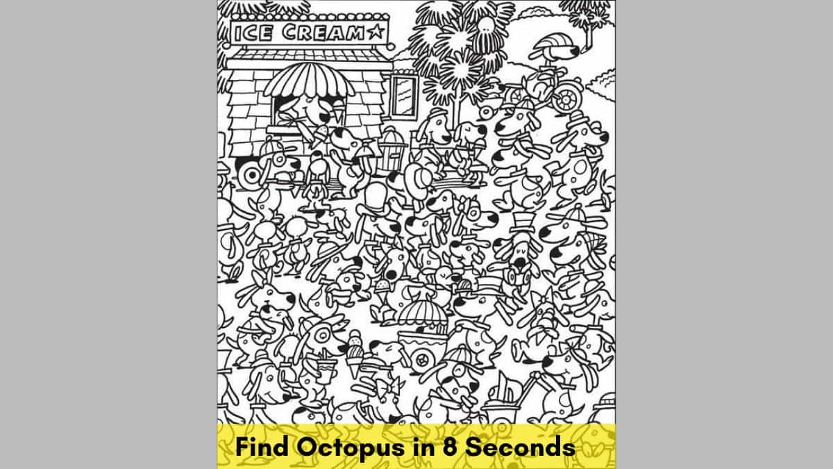 Find Octopus in 8 Seconds