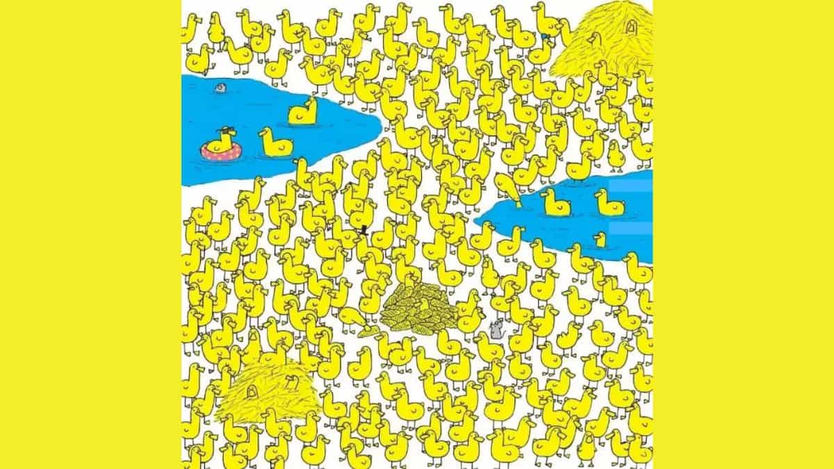 Optical Illusion Iq Test: Can you find the Hidden Number in this Picture in  less than 15 Seconds? - News