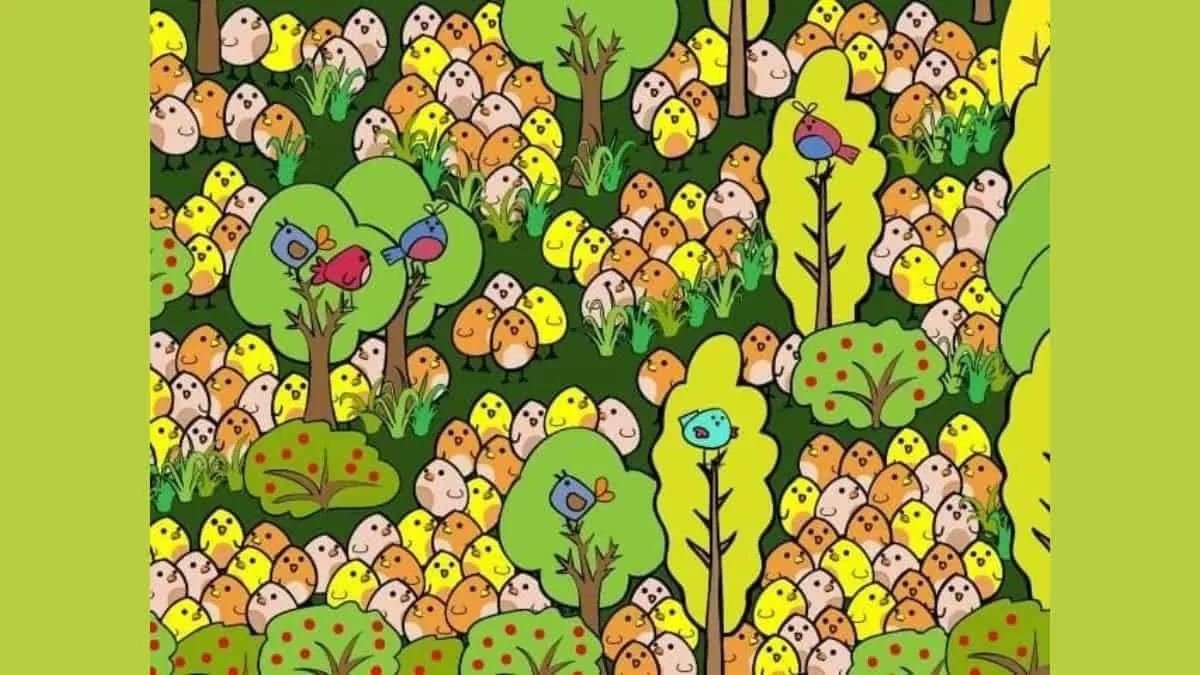 Optical Illusion Can You Find The Hidden Egg Among Chicks In 9 Seconds 