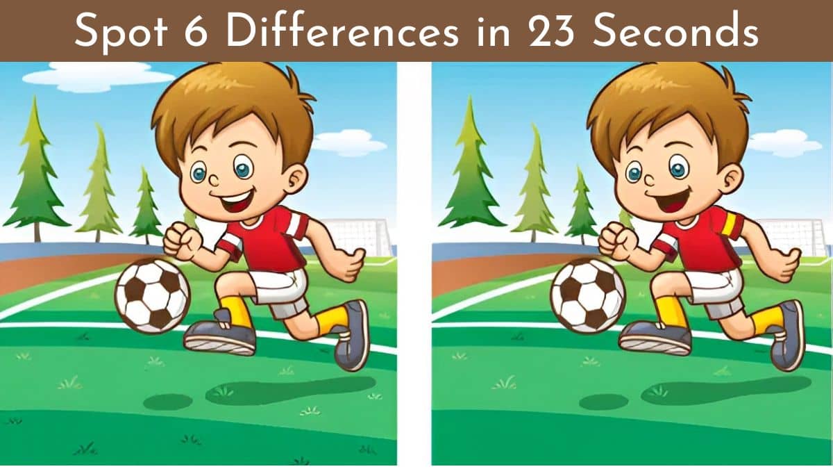 Spot 6 Differences in 23 Seconds