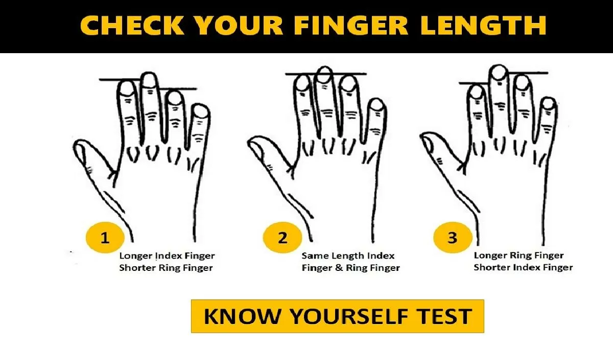 Personality Traits: The shape of your index finger can reveal your