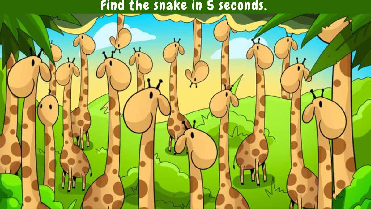 Brain Teaser IQ Test: Even Geniuses Have Failed To Find The Snake Hiding Among Giraffes In 5 Secs!