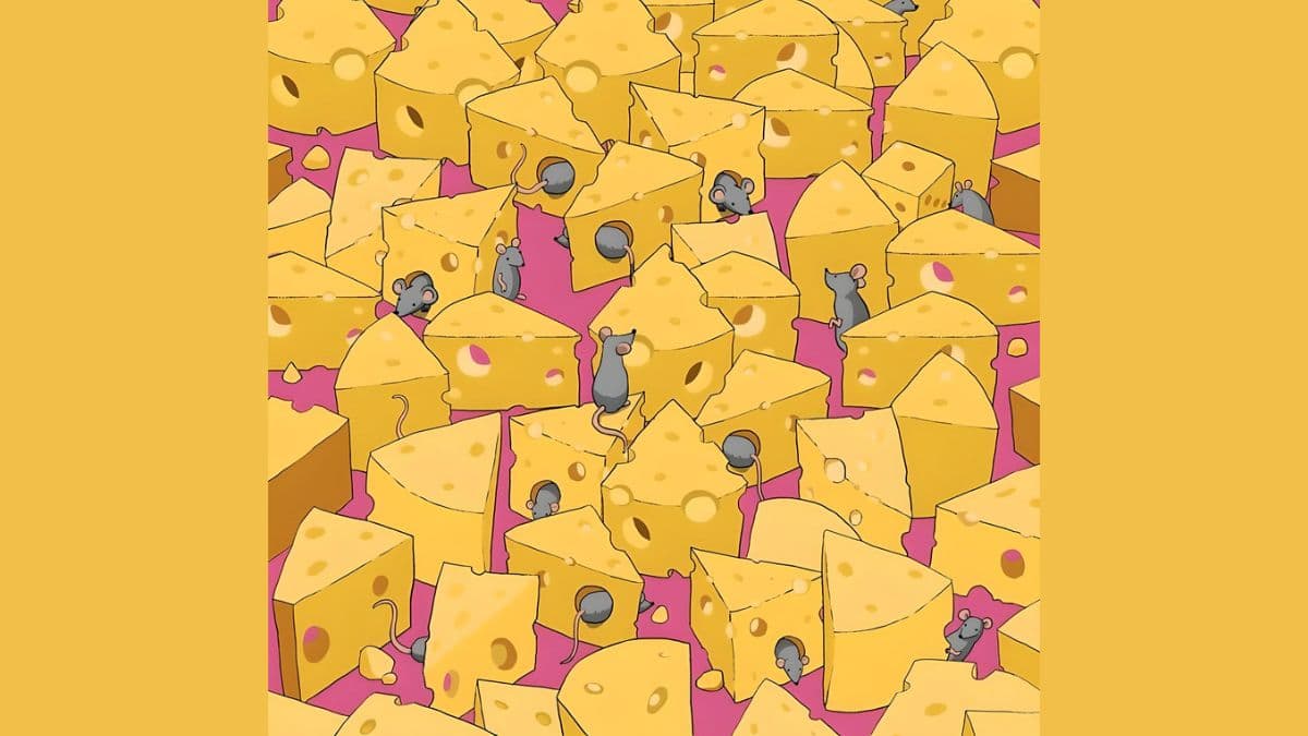 Find Dice in 9 Seconds