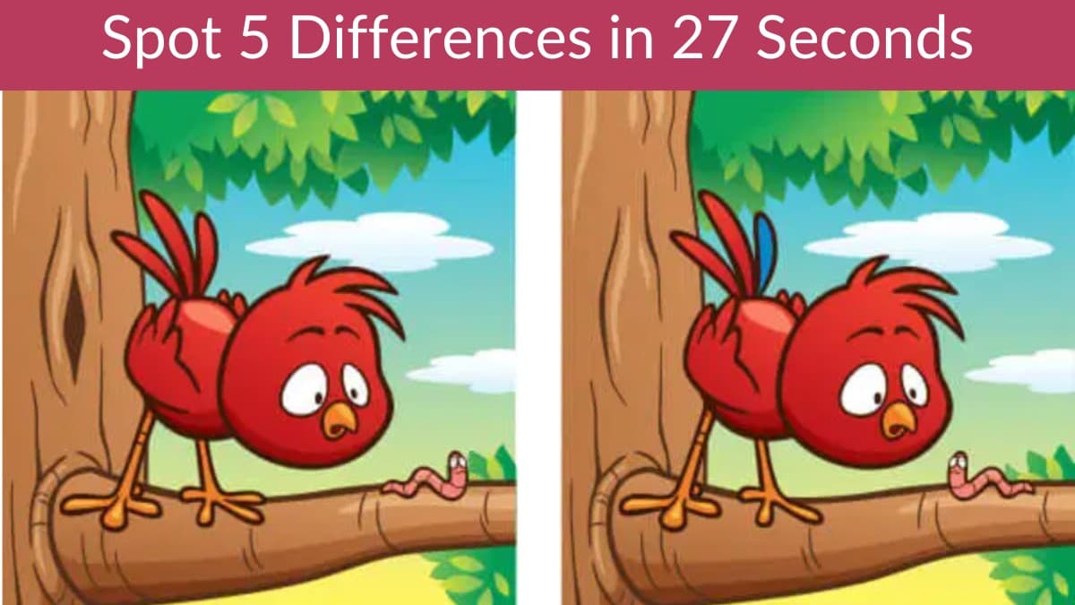 Spot 5 Differences in 27 Seconds