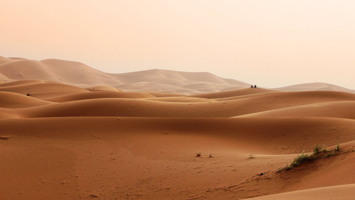 Fact or Fiction: Sahara Is The Largest Desert In The World