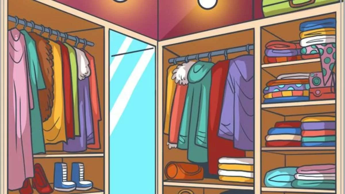 Optical Illusion for Testing Your IQ: Only 2% can spot hidden camera inside  wardrobe in 7 secs!