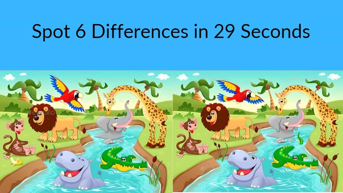 Spot 6 Differences in 29 Seconds