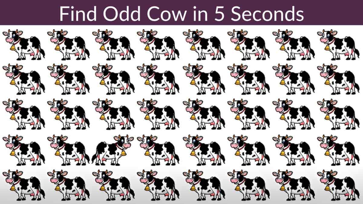 Find Odd Cow in 5 Seconds