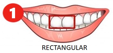 Rectangular Teeth Personality