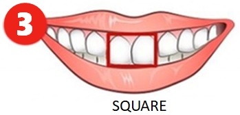 Square Teeth Personality