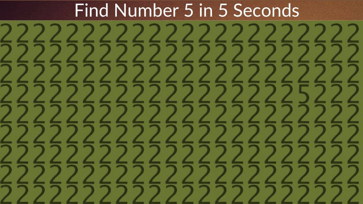 Find Number 5 in 5 Seconds