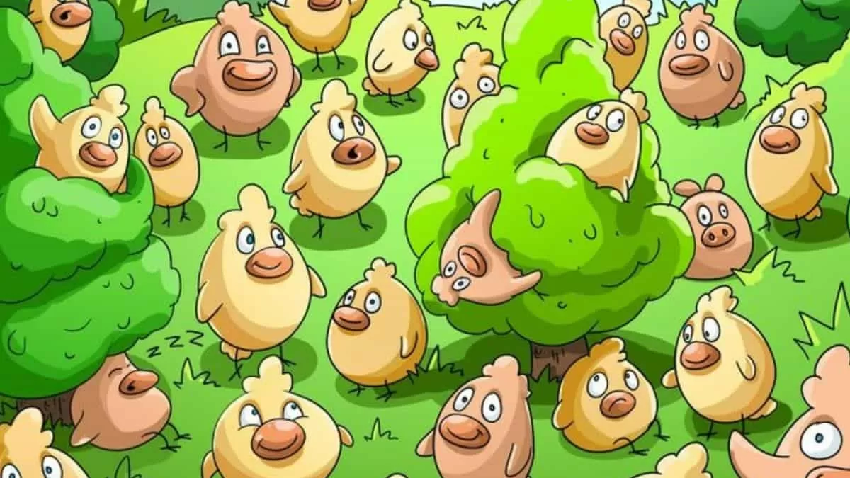 Find Pig in 13 Seconds