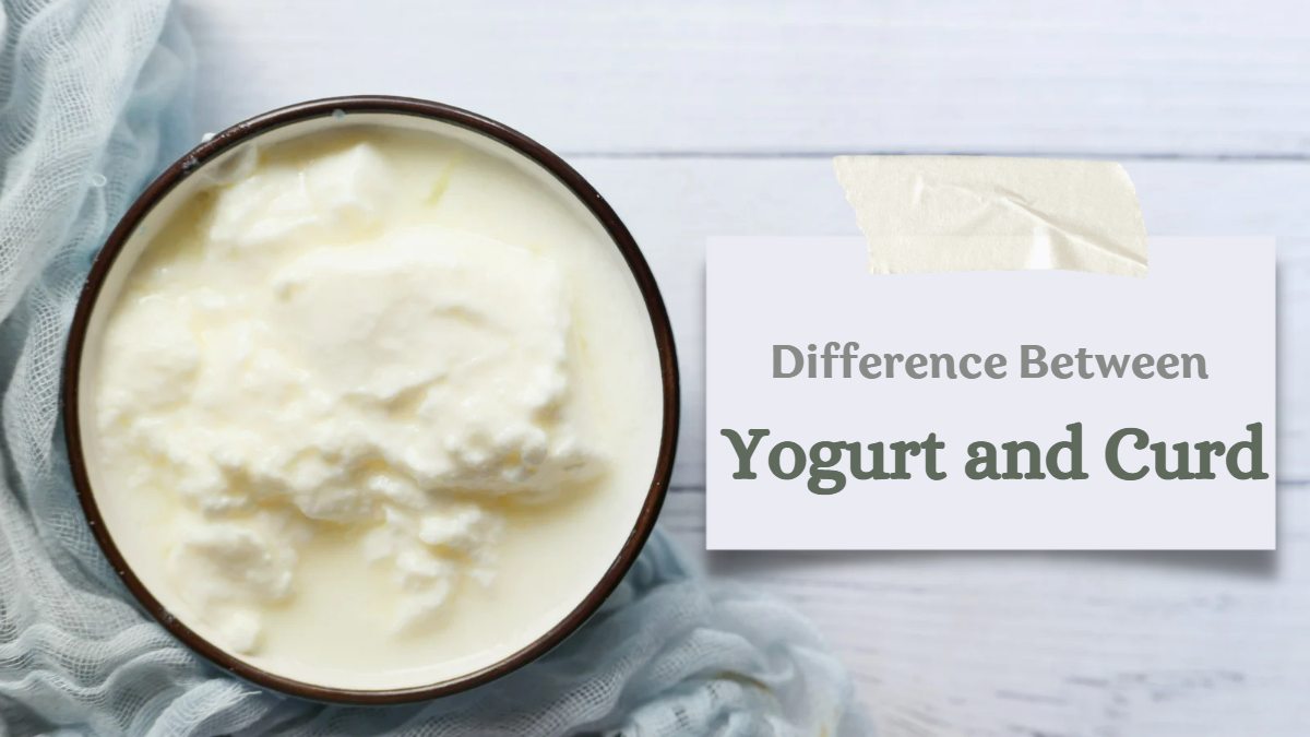 What Is The Difference Between Yogurt And Curd?