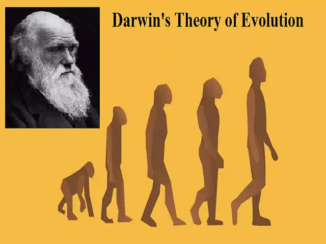 Darwin's Theory of Evolution 