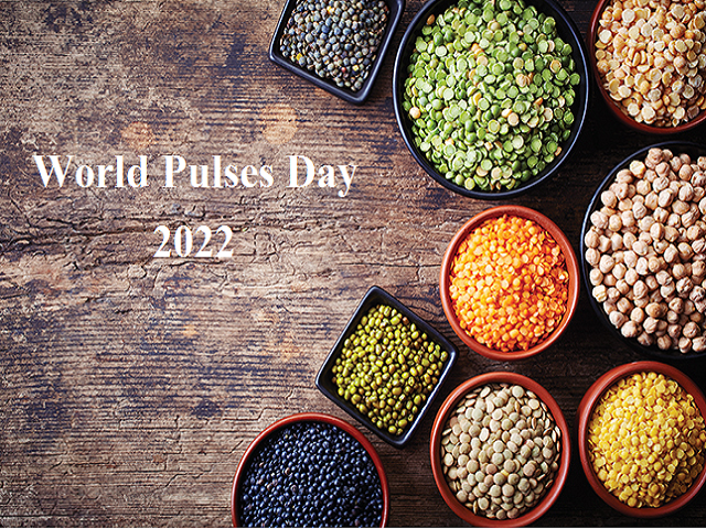 World Pulses Day