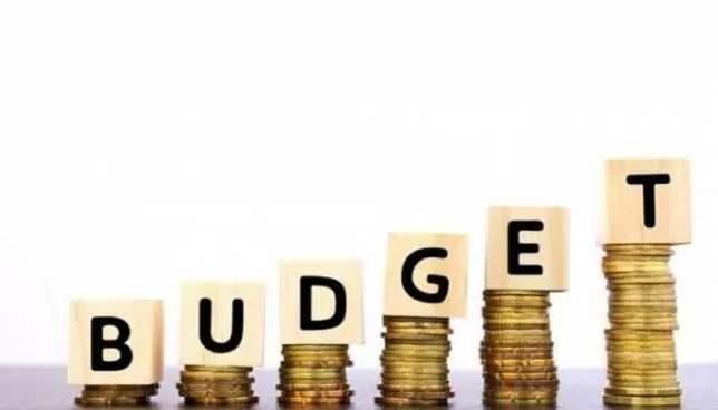 No changes in income tax slabs or rates