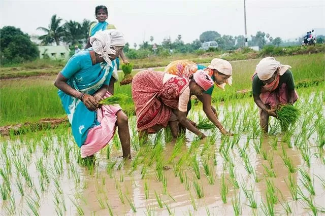 Union Budget 2022 focuses on farmers, agriculture productivity