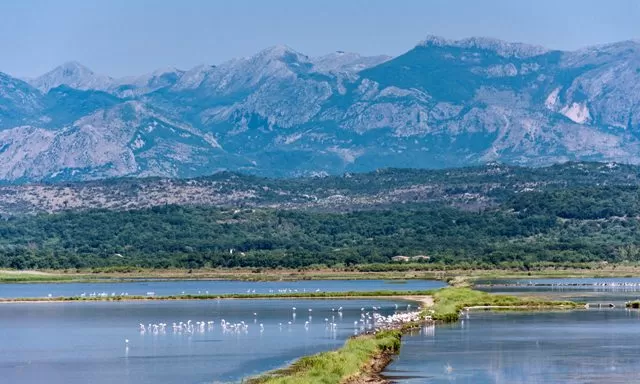 World Wetlands Day 2022: History, Significance and Theme