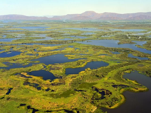 World Wetlands Day 2022