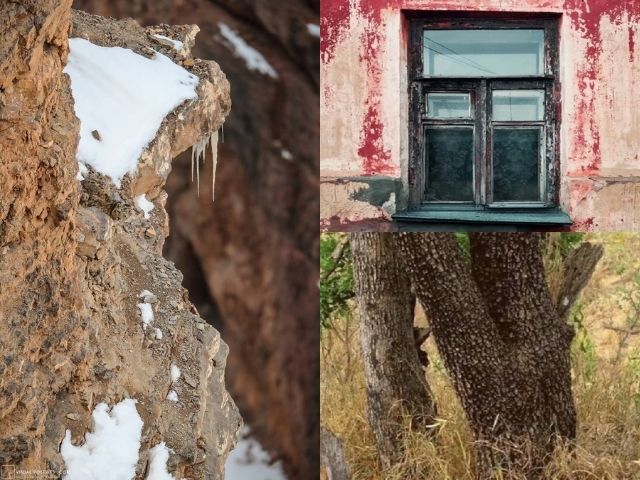 A Snow Leopard, Leopard and Cat are hiding in the images. Can you spot hidden animals? 