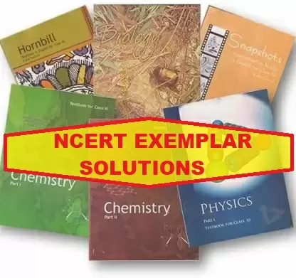 NCERT Exemplar Solutions CBSE Class 12 (PDF Download): Maths, Physics ...