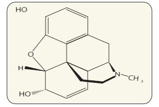 CBSE biology