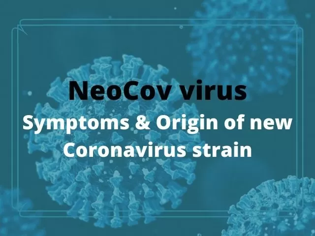 Explained: Is NeoCov coronavirus the deadliest of all COVID strains? | Know NeoCov Symptoms and Origin