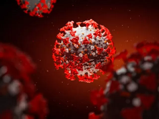 NeoCoV Coronavirus