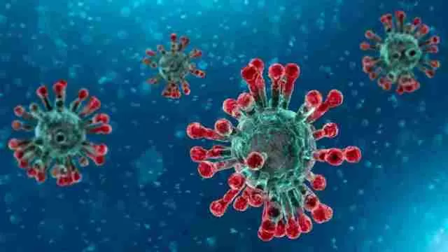 New coronavirus variant called 'IHU' discovered in France