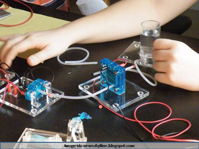 RBSE 12th Practical Exam 2022 Dates Announced