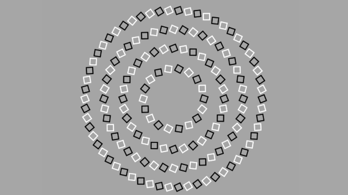 Optical Illusions for Testing your Observation Skills