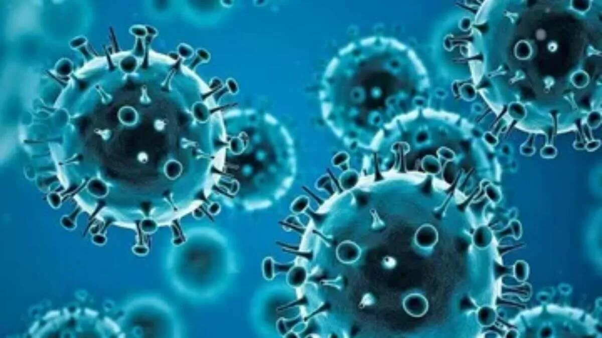 Marburg virus
