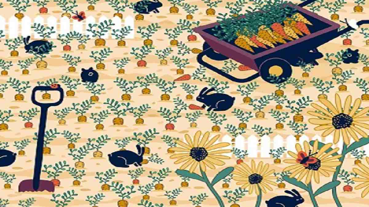 Optical Illusion Test: Only A Genius Can Spot The Hidden Diamond Ring In The Picture