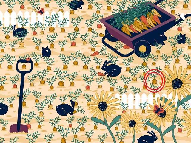 Optical Illusion-Spotted Ring