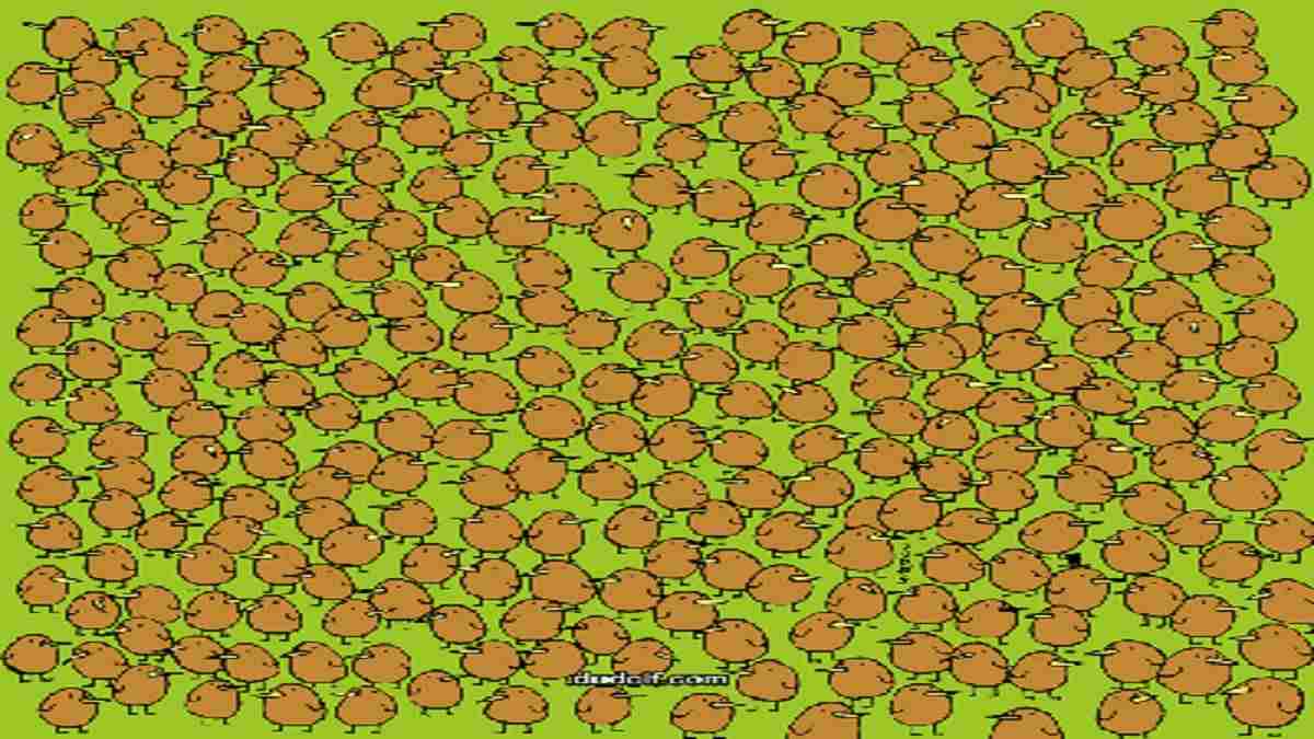 Optical Illusion: Only A Genius Can Spot All 4 Hidden Kiwis Among The Cute Birds In 22 Seconds