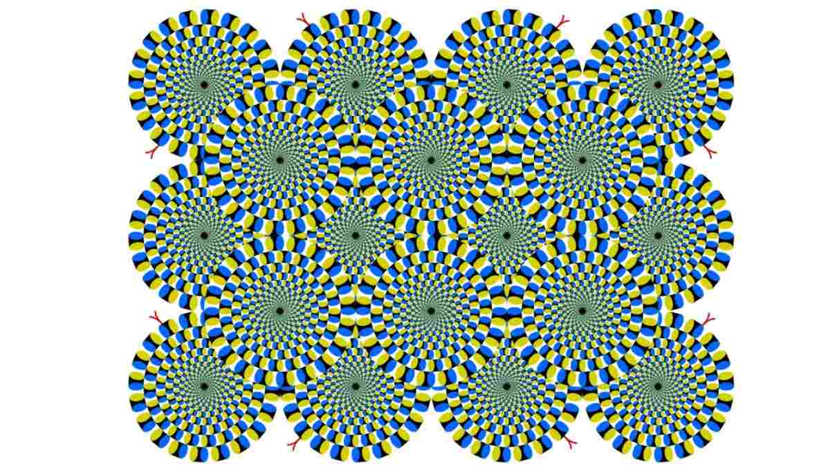 Spinning Discs or Rotating Snakes Optical Illusion