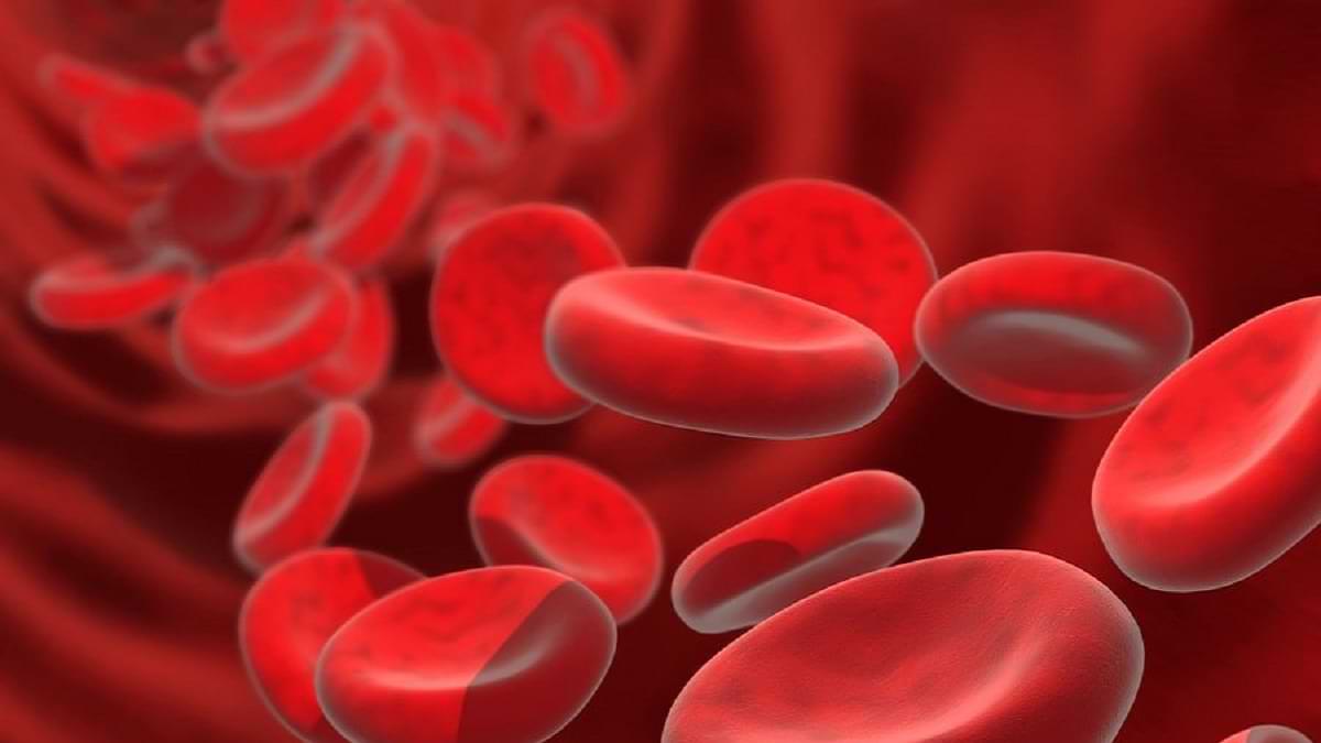 World's Rarest Blood Group found in India