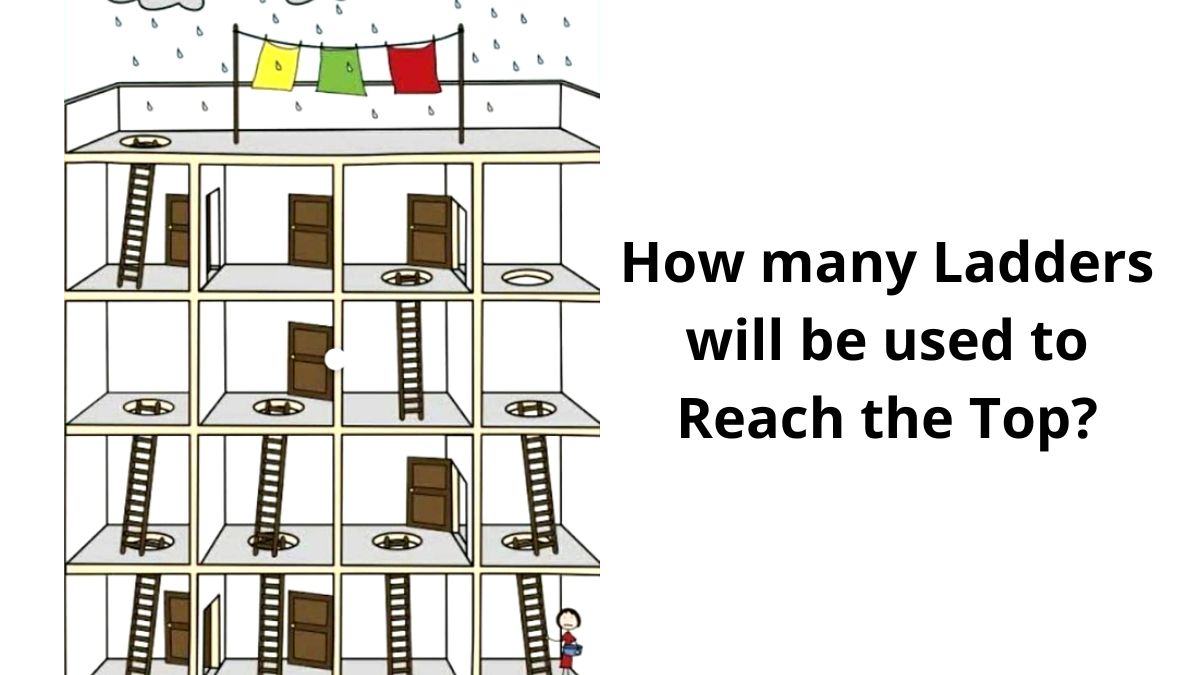 How many Ladders will be used to reach the top?