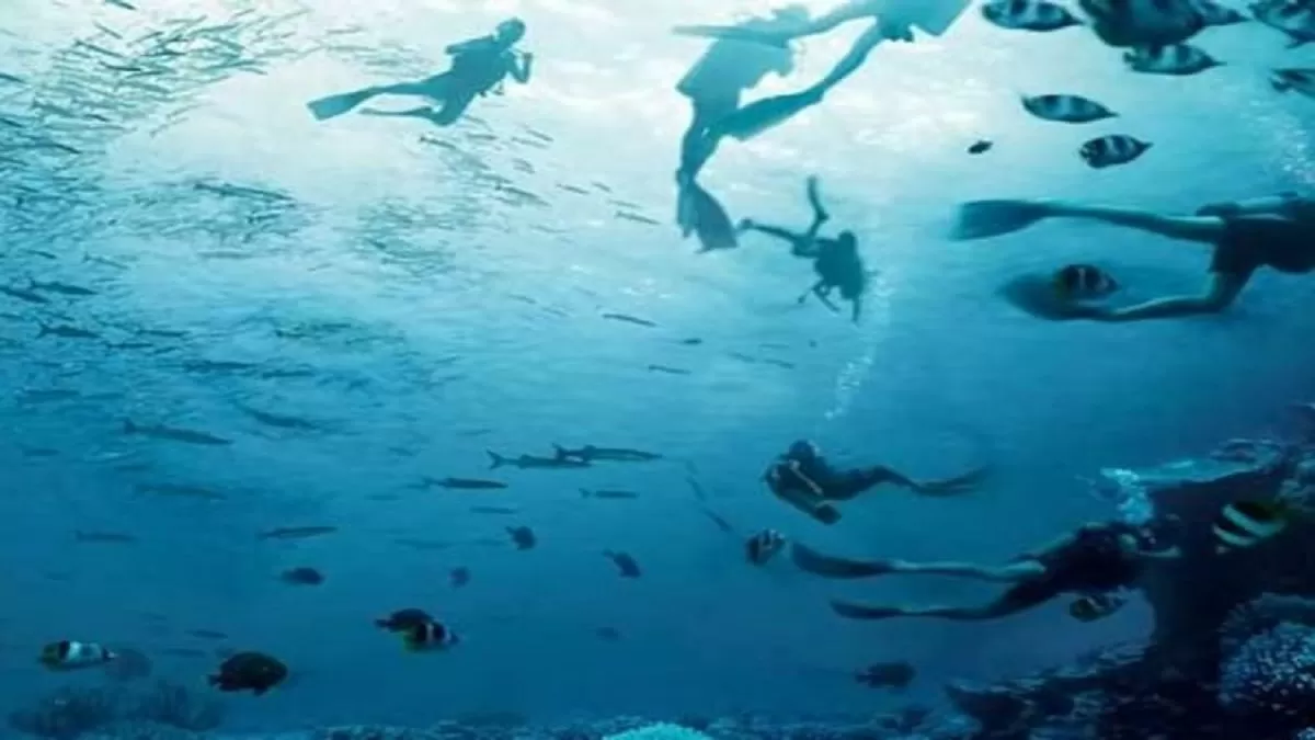 Optical Illusion: Face or Swimmers
