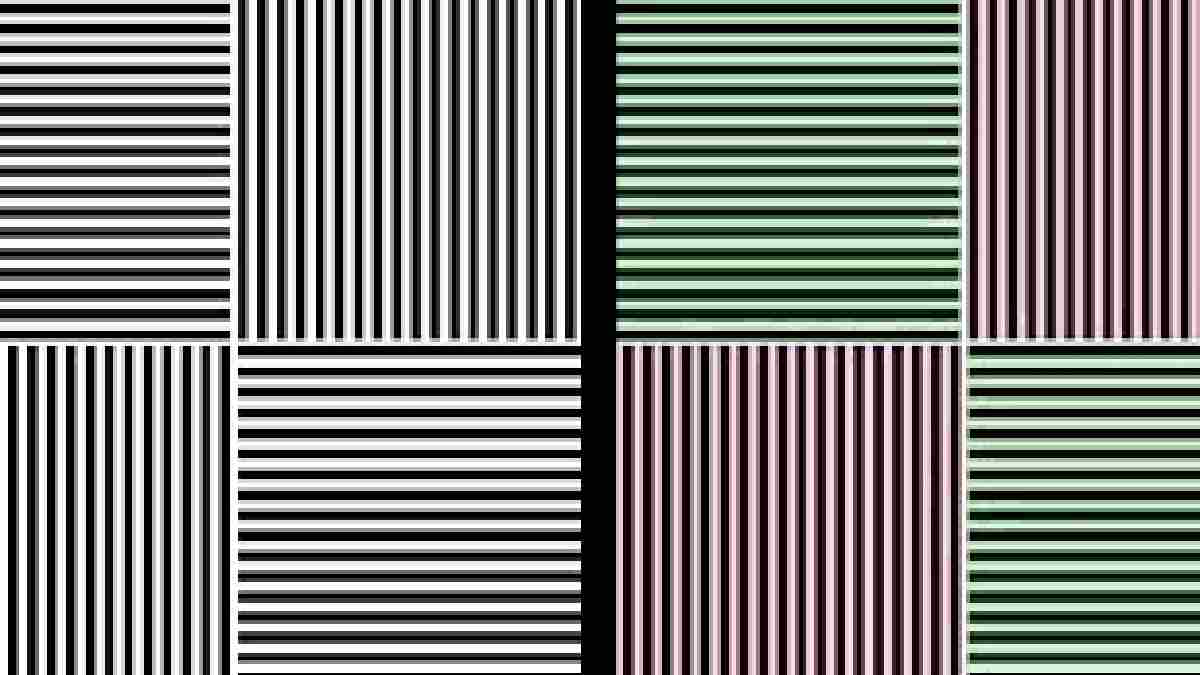 Optical Illusion: Image that has a long-term effect on your brain ...