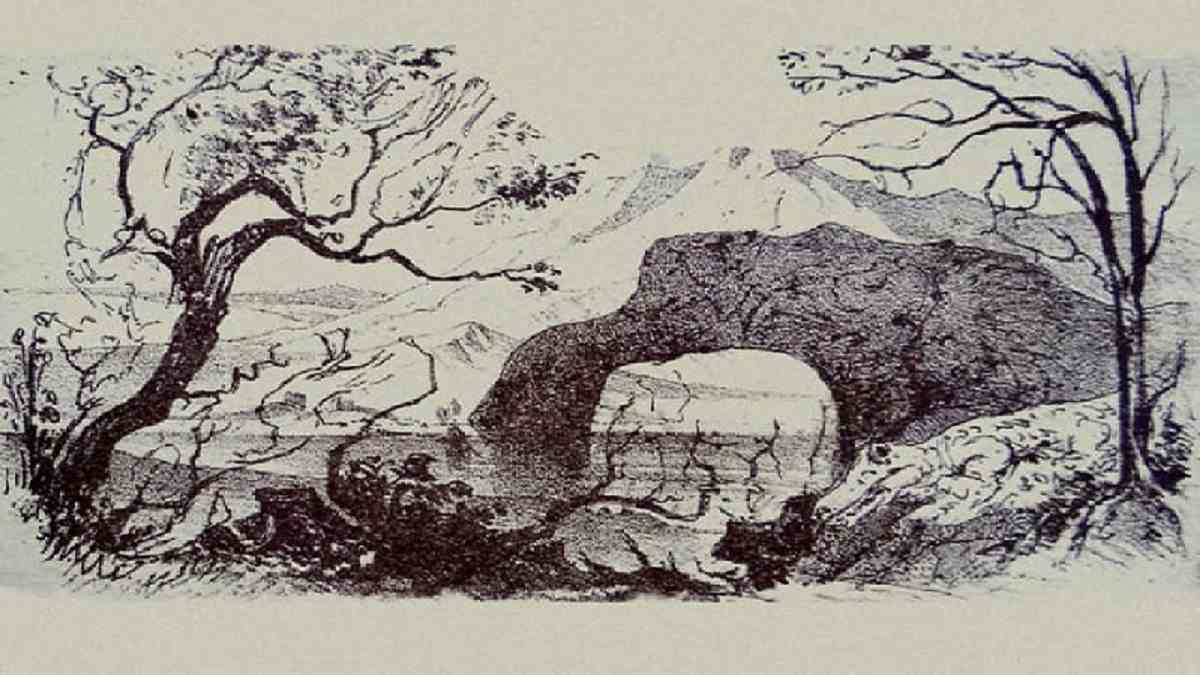 Optical Illusion: Only 10% can spot at least 10 hidden animals in the picture in 15 seconds- Can you?