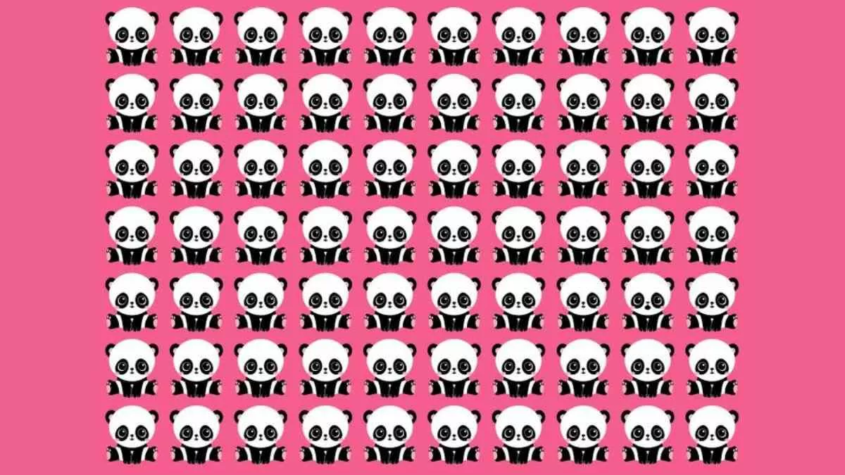 Find Odd One Out among the Pandas in 10 seconds