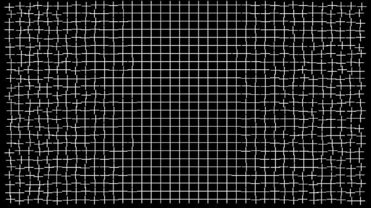 Optical Illusion: Can You See A Self Fixing Grid In The Image| Brain Test
